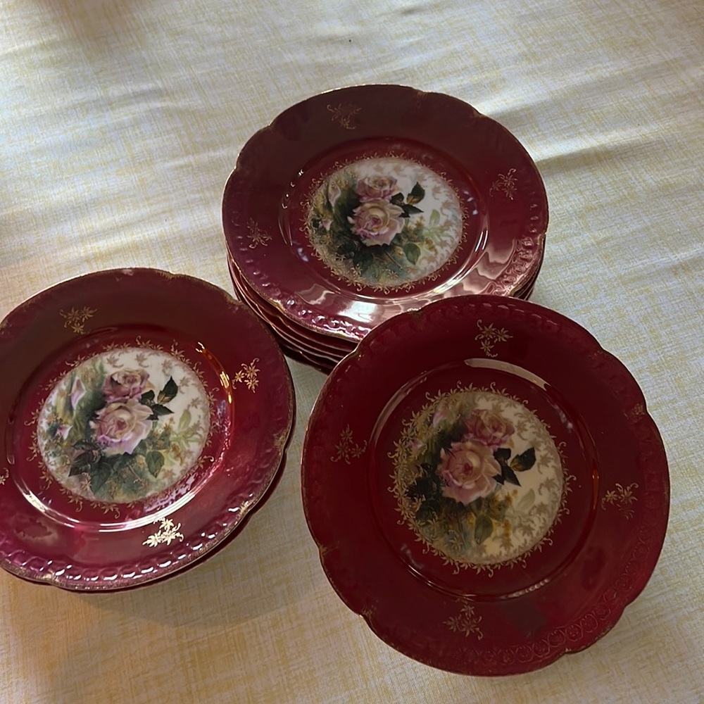 Set of Vintage Rosenthal Bavaria Red Dinner Plates with Hand-Painted Roses 9 pc